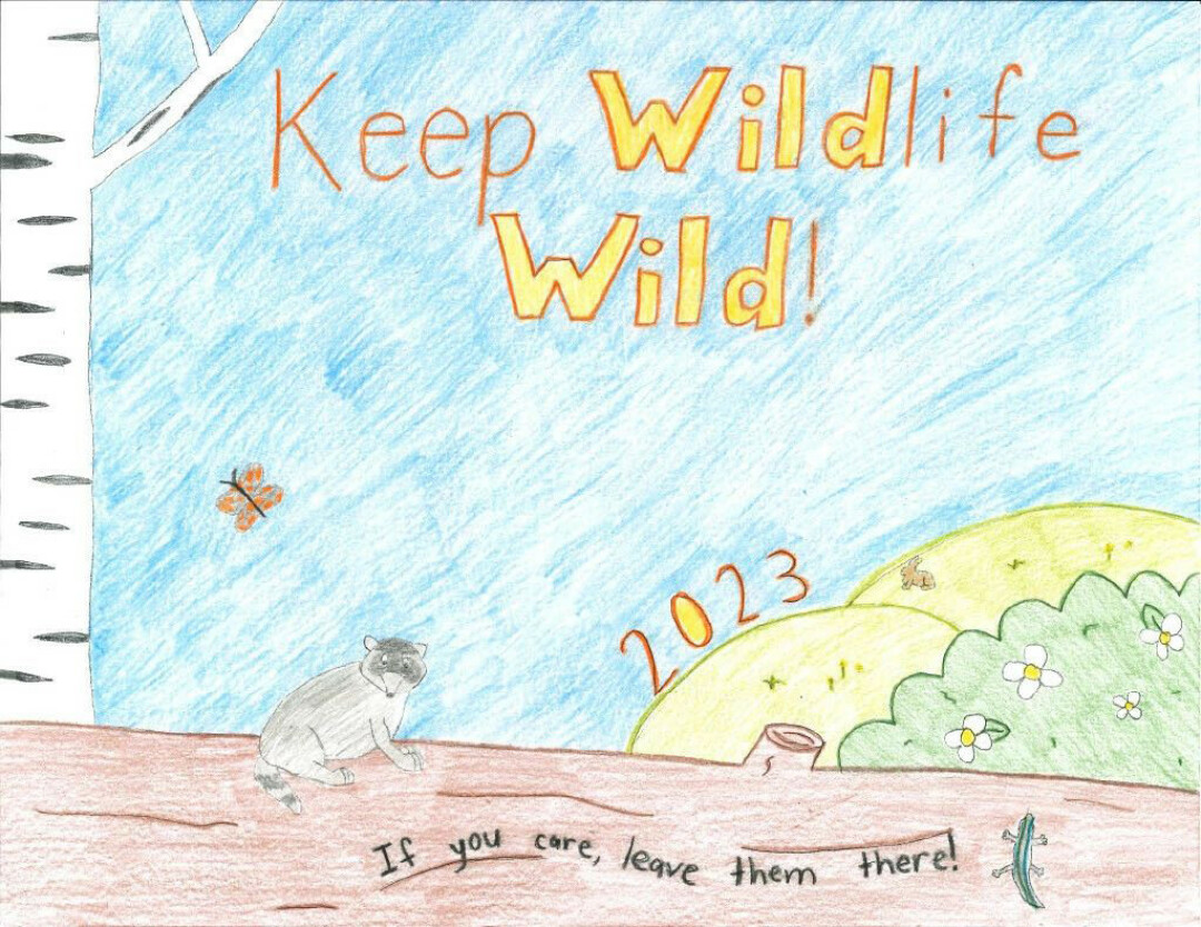 KEEP WILDLIFE WILD. Wisconsin students could have their design used in the 2024 DNR campaign, like last year's winner, Elsa Wright from Suamico. (Photo via DNR site)