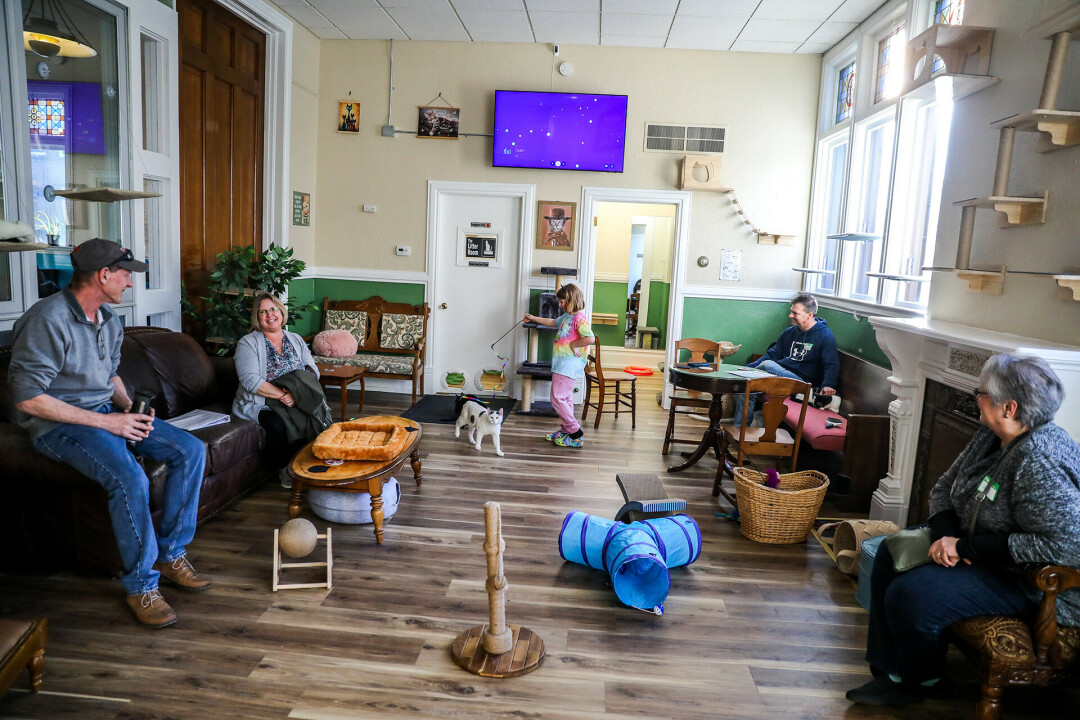KITTY CITY. Mr. Kitty's Cat Cafe in downtown Eau Claire is now open for business with adoptable cats ready for some love.